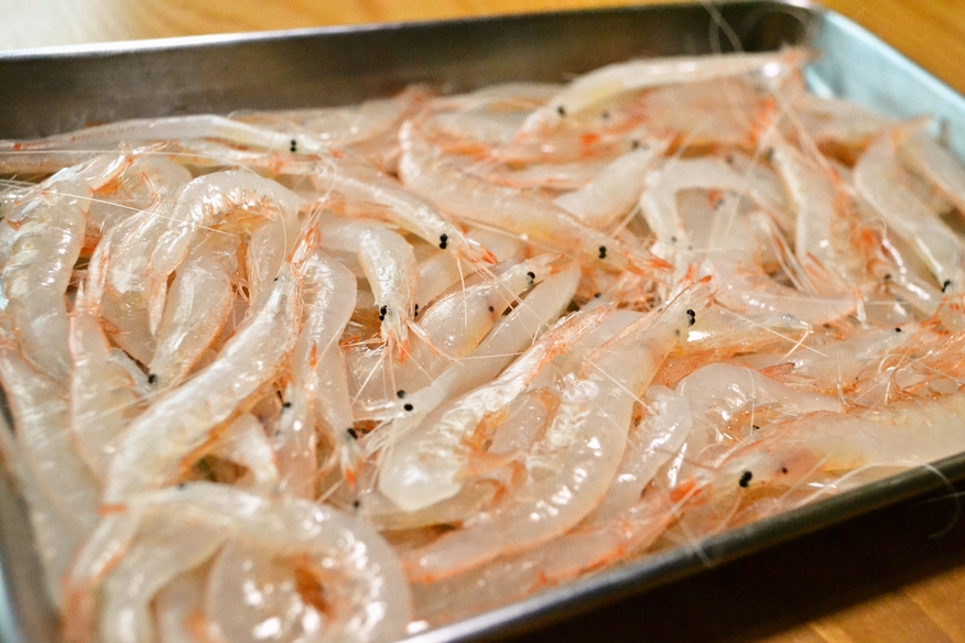 白エビ