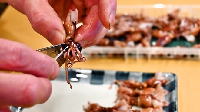 茹でたホタルイカ